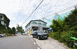 황금소나무 외부 전경